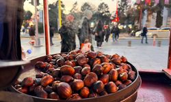 Kışın şifa kaynağı kestane 100 liradan satılıyor