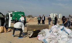 Öldürüp tuzlayıp halıya sarıp çekyatla atmışlar