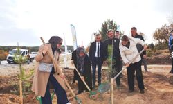 Şehitler için 350 fidan toprakla buluştu