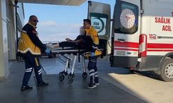 Sokak köpekleri küçük kıza dehşeti yaşattı