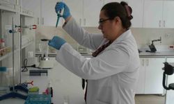 Zehirlenmelerle ilgili uzmanlardan hayati uyarılar: 'Denetlenen işletmeleri tercih edin'