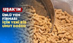 Uşak’ın Köklü Firmasına Bir yıl Kalıcı Konkordato Kararı Verildi