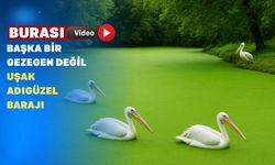 Uşak Adıgüzel Barajı’nda Suyun Rengi Yeşile Döndü