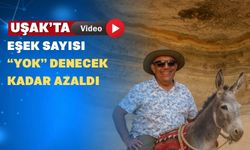 TÜİK Uşak’ta kaç eşek kaldığını açıkladı