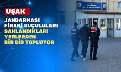 Uşak Jandarması firari 42 kişiyi yakaladı