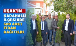 Karahallı'da vatandaşa 500 adet limon servi dağıtıldı