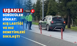 Uşak Emniyeti Kolları Sıvadı: Kış Lastiği Denetimleri Başladı