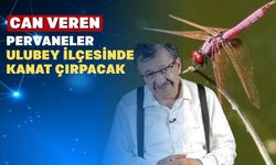 ‘Can Veren Pervaneler’ Uşak’ın Ulubey İlçesine Misafir Oluyor