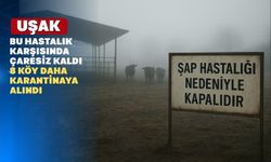 Bu hastalık Uşak’ın üzerine kâbus gibi çöktü
