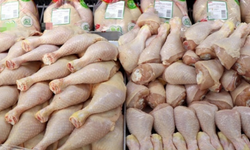 Türkiye’de tavuk eti üretimi arttı, yumurta üretimi geriledi