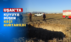 Uşak'ta dört metrelik çukura düşen keçiyi itfaiye ekipleri kurtardı