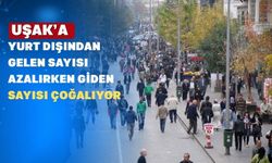 Yurt dışından Uşak’a göç edenlerin sayısı 2024’ta yüzde -1 azaldı