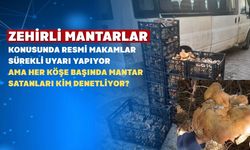 Uşak’ta Garip Bir Mantar Döngüsü Yaşanıyor