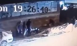 Başıboş köpek dehşetİ 3 kişi yaralandı