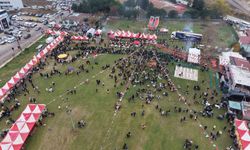 Hamsi izdihamı: 3 ton hamsi dağıtıldı