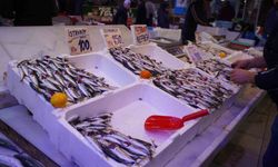 Hamsi yerini istavrite bıraktı