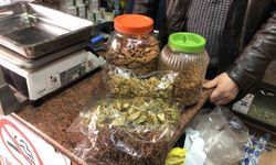 Ihlamur bu yıl değer kazandı