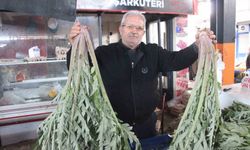 Karaciğer dostu sebze pazarda yoğun ilgi görüyor