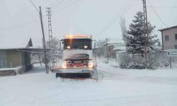 Karla mücadele: 61 mahalle yolu ulaşıma açıldı
