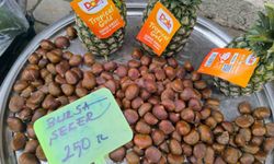 Kestane satış fiyatıyla yüzleri güldürdü