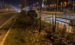 Köpeğe çarpmamak için manevra yapan sürücü refüje çıktı