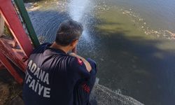 Kuraklık balıkları telef etti