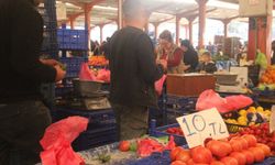 Meşhur domates tezgahlarda 40 liradan 10 liraya kadar düştü