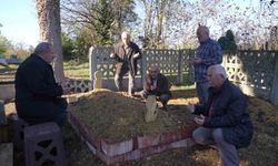 Sahibinin mezarından ayrılmayan köpek duygulandırdı
