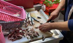 Uzmanı doğrusunu anlattı: 'Gözüne bakıp tazeliğini anlarım diyen yalan söylüyordur'