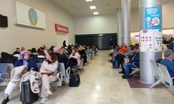 Yolcu uçağı martı sürüsüne çarptı