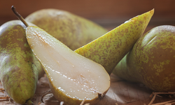 Kışın Gözden Kaçan Şifası