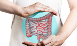 Sağlıklı bağırsak yaşam süresini etkiliyor