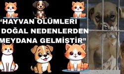 Uşak Belediyesi; “Hayvanlara Katliam iddialar gerçekleri Yansıtmıyor”