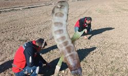 Uşak Çiftçisinin Kâbusu Toprak Üstüne Çıktı