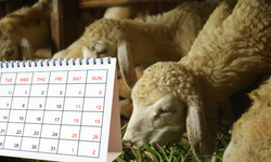 2026 Kurban Bayramı Ne Zaman? Tatil Kaç Gün Sürecek