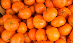 Kışın Vazgeçilmezi Mandalinanın Sırları