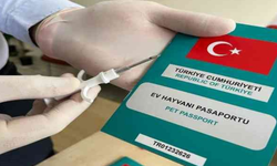 Uşak Tarım ve Orman Müdürlüğünden Uyarı! Yapılmazsa Ceza Kesilecek