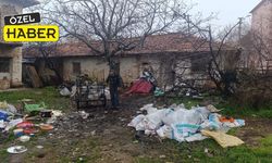 Uşaklı yaşlı adamın durduğu yerde hayvan durmaz