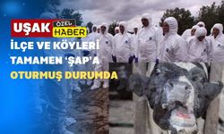 Şap Hastalığı Yüzünden Uşak Hayvan Pazarı Açılamıyor