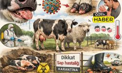 Uşak’ın Kâbusu Yeni Yılda da Bitecek Gibi Görünmüyor