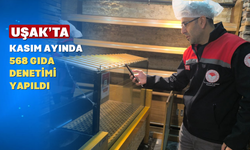 Ekipler Kasım Ayı Boyunca Sahadaydı: Denetim Raporu Açıklandı