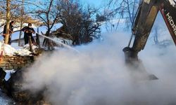 Ahır yangını: 9 büyükbaş hayvan telef oldu