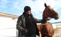 At yetiştiricisi kışın yaşadıkları zorlukları anlattı