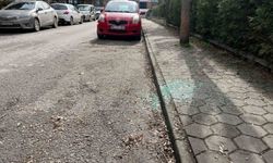 Aynı sokakta beş aracın camlarını kırdılar