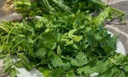 C vitaminini bol bol almak gripten koruyabilir