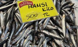 Denizlerdeki durgunluk tezgaha yansıdı: balıkta yokluk yaşanıyor