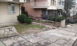 Kamyon bahçedeki 4 araca çarptı