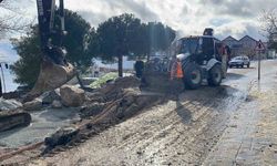 Kar yağışının ardından heyelan meydana geldi