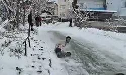 Karlı yolda kayan gençler duramayınca bahçeye uçtu