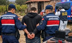 Uşak’ta bağa girdim bağ budanmış bağa hırsız dadanmış